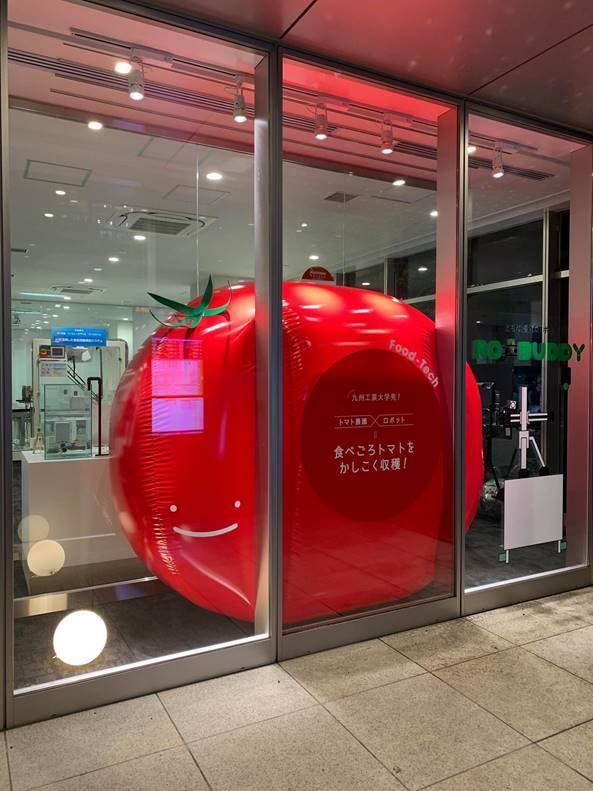 YE DIGITAL ショーウインドウ・ショールーム  展示第2弾 「トマト農園 ☓ ロボット ＝ 食べごろトマトをかしこく収穫！」<br>  YE DIGITAL Showroom exhibition “Tomato Farm x Robot”