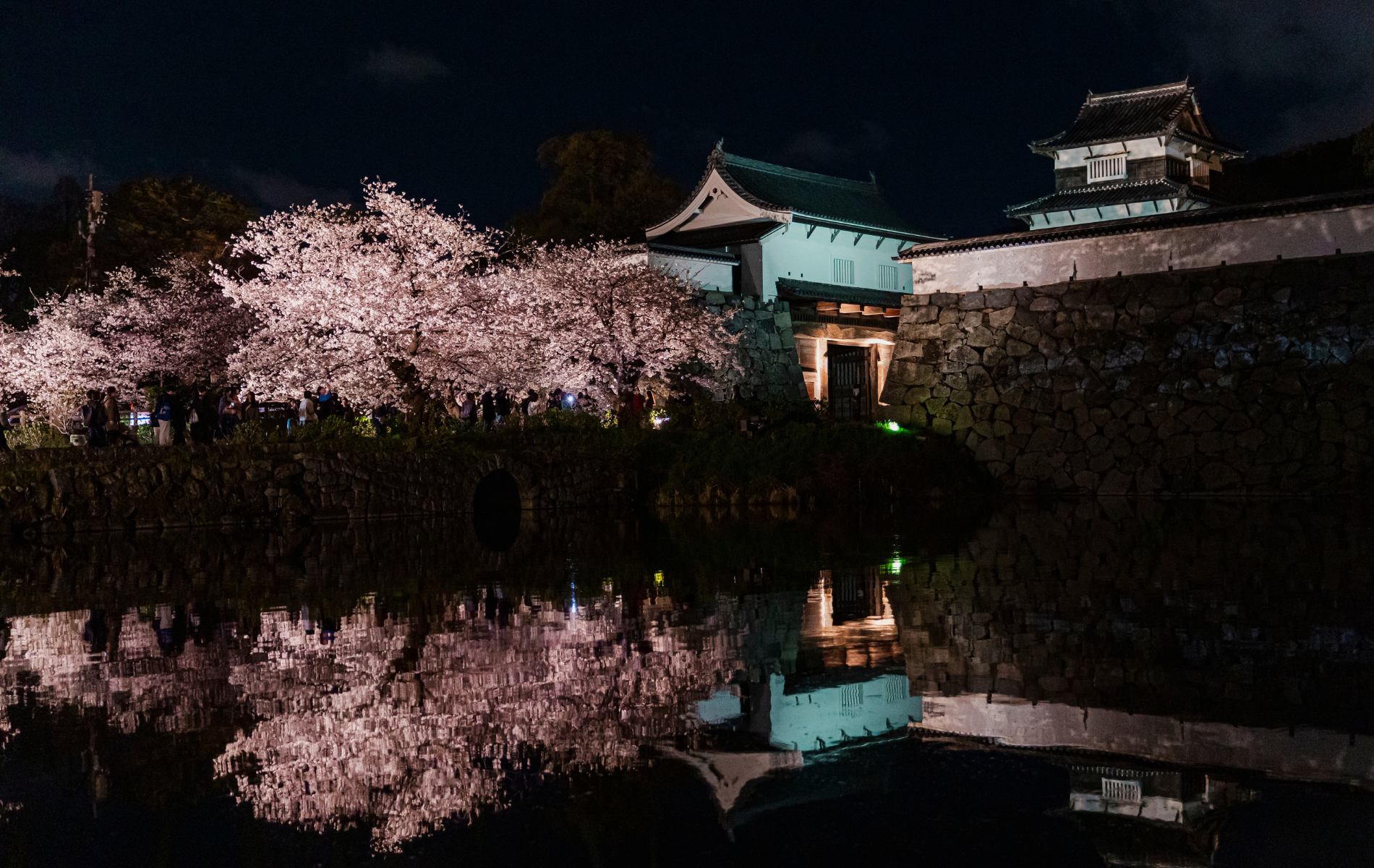 福岡城さくらまつり