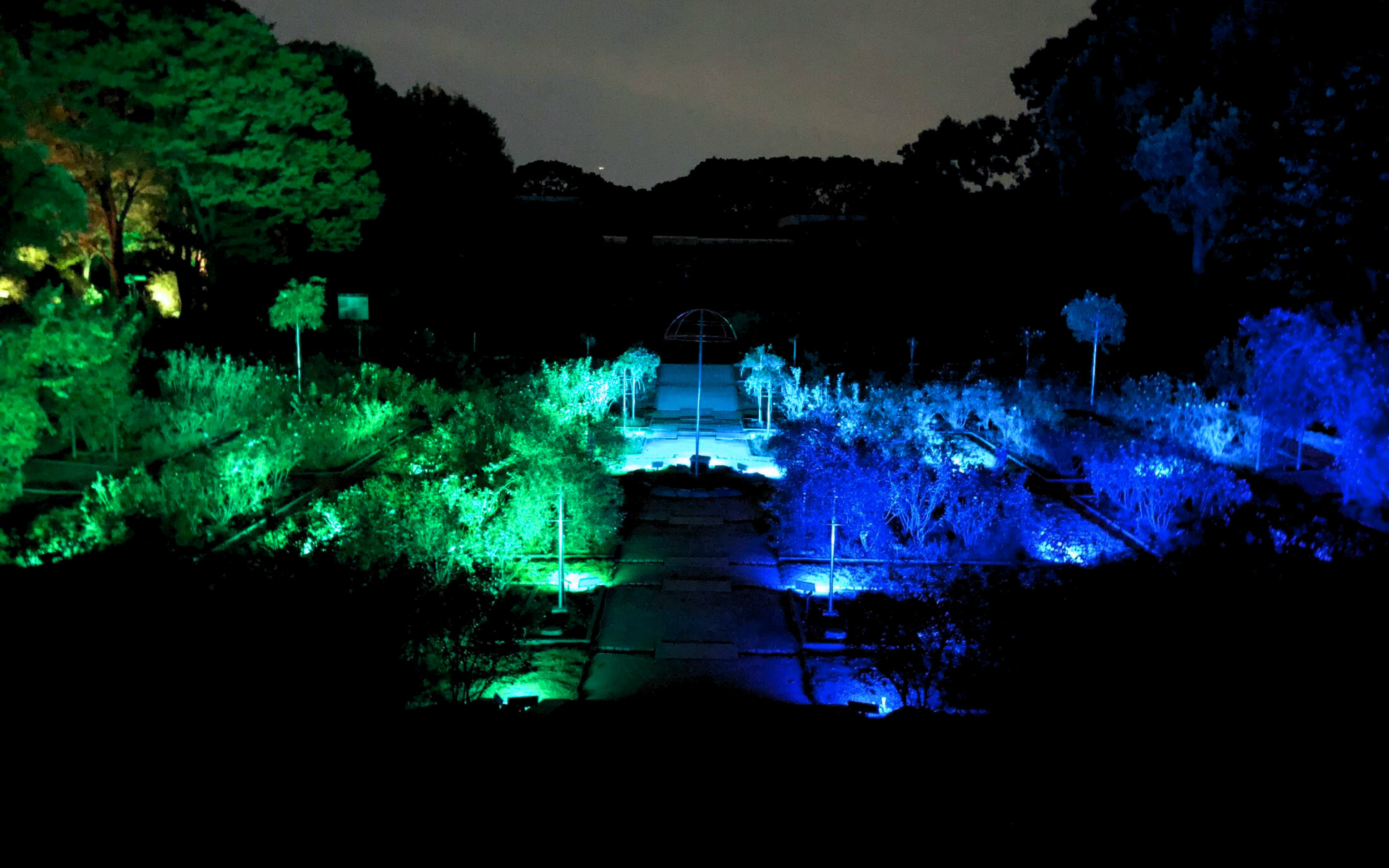 福岡市植物園ライトアップ演出・集客業務