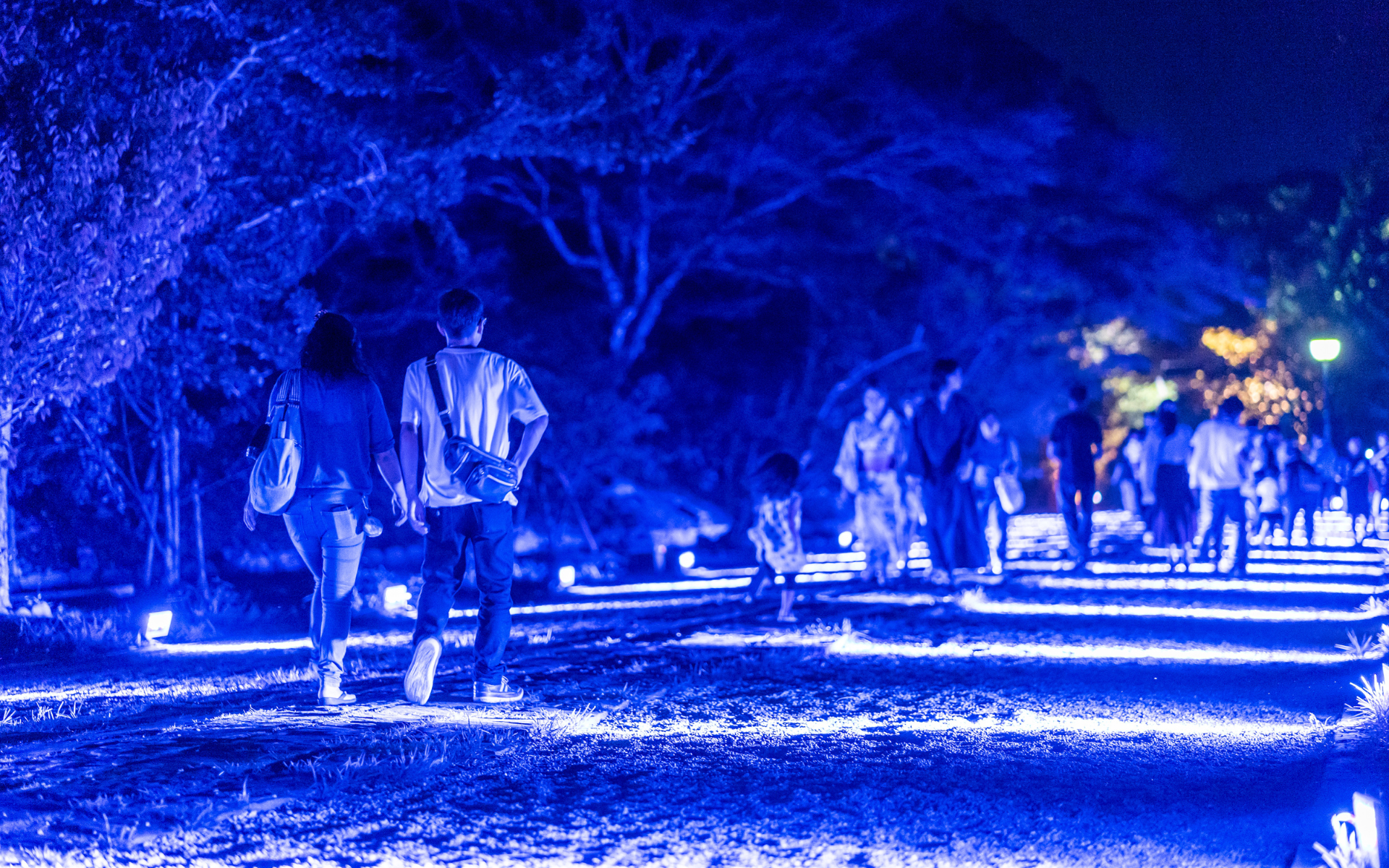 平戸、海のものがたり 〜平戸城再築城300周年記念事業〜  光と音が織りなす幻想祭