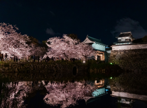 保護中: 2026年「福岡城さくらまつり」開催決定しました
